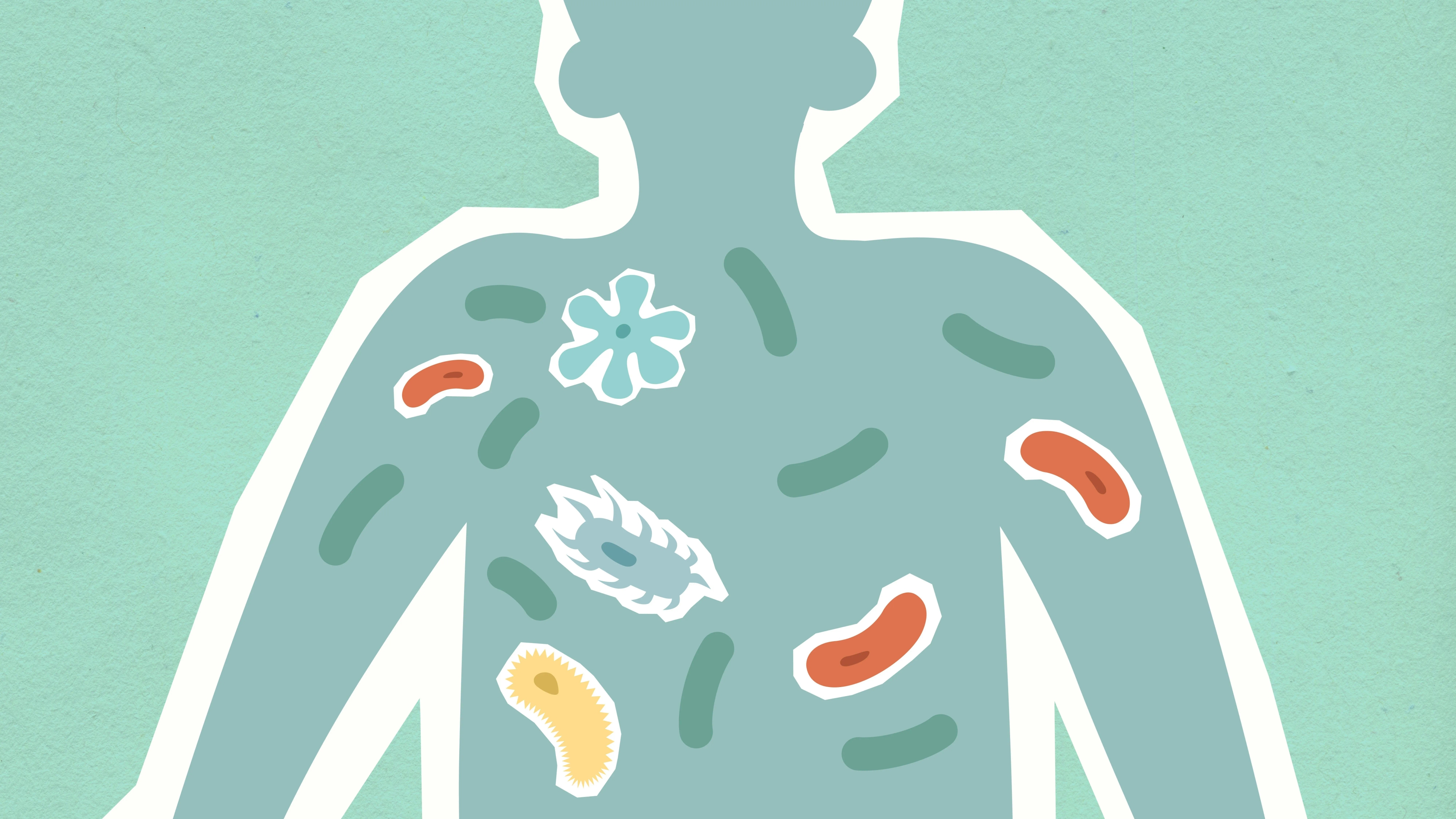 Microbioom en de darm-brein-orgaan-as: hoe darmbacteriën je gezondheid sturen
